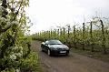 MG Bloesemrit op 24-4-2016 org. Jos&Marie-lou  (51)